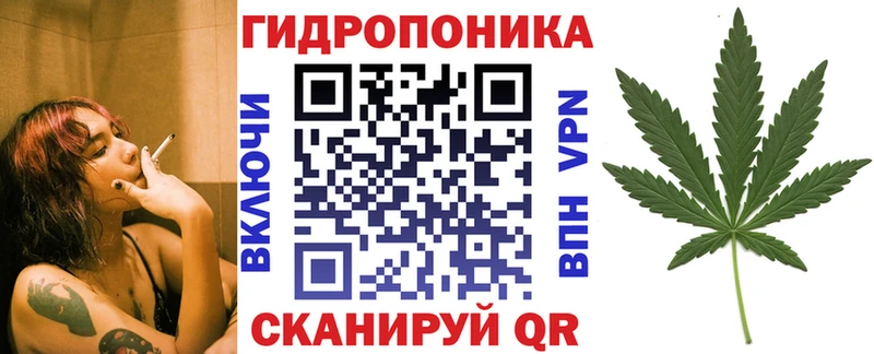 Купить наркотики сайты Ногинск СК  МЕФ  ГАШИШ  Бошки Шишки  КОКАИН 