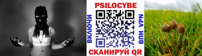 Галлюциногенные грибы MAGIC MUSHROOMS  Ногинск 